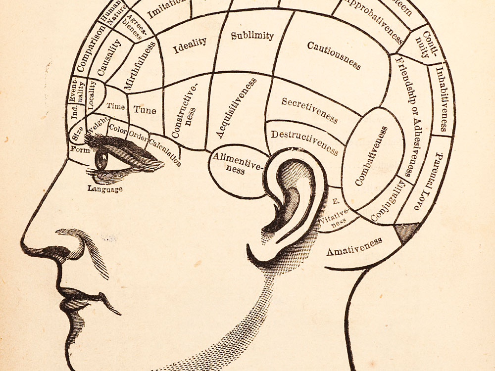 Vintage medical illustration of brain