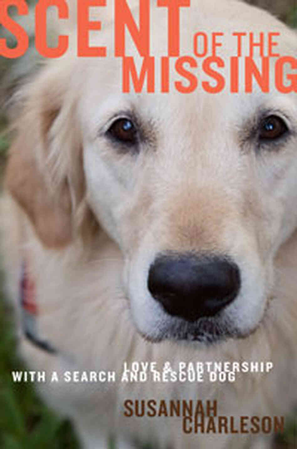 Cover of 'Scent of the Missing' Cover of 'Scent of the Missing'