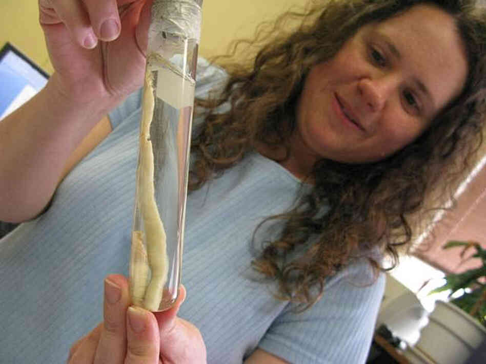 Jodi Johnson-Maynard holds a giant Palouse earthworm.