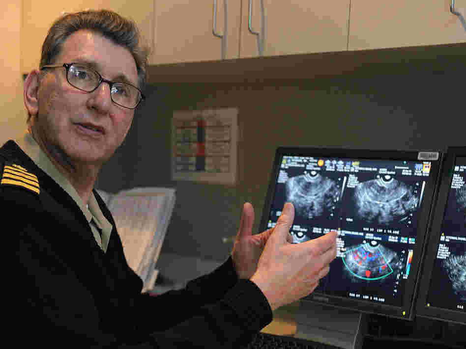 Dr. Nelson is researching a treatment for primary ovarian insufficiency.