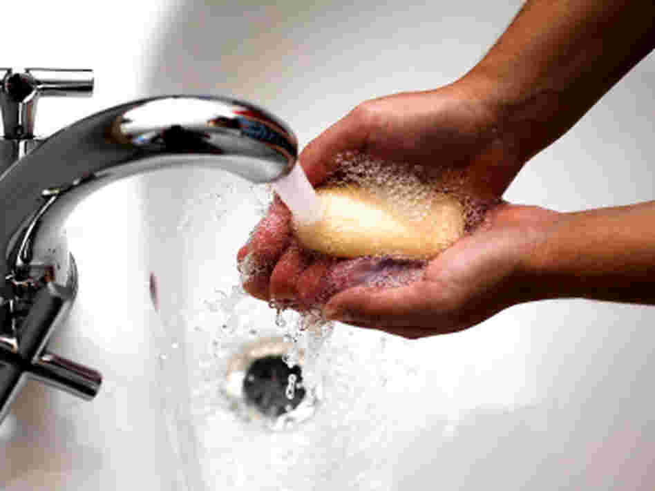 A person washing hands. A person washing hands.