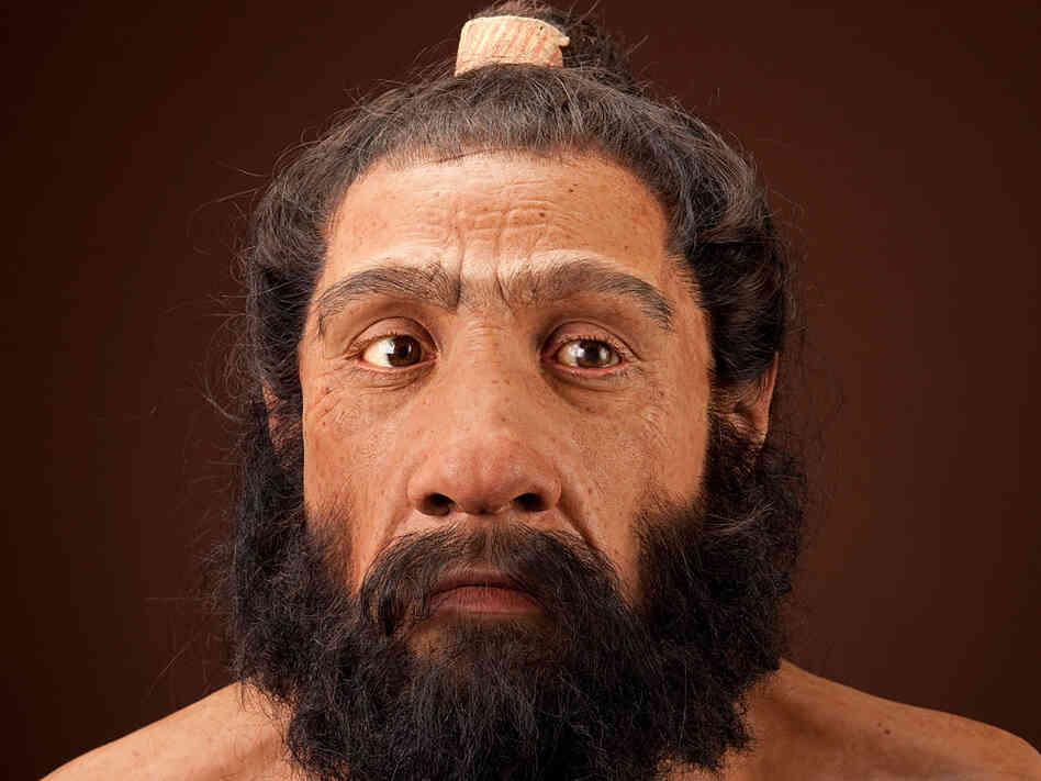 Re-creation of a Neanderthal by paleo-artist John Gurche