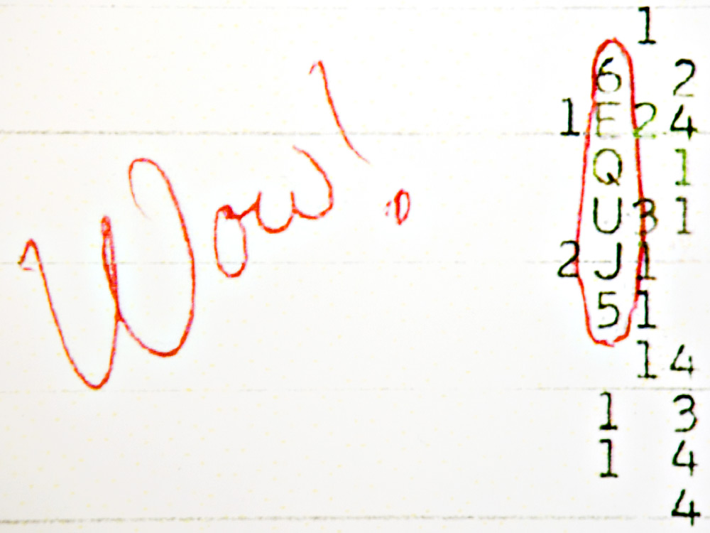 The word  "Wow!" is scrawled in red next to a row of numbers on a  computer printout