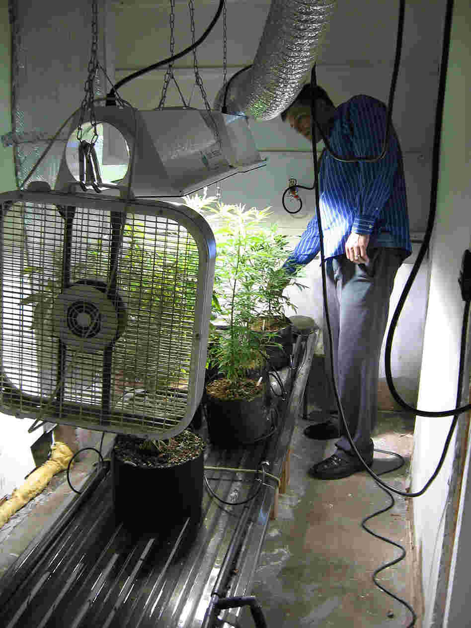 Paul Culkin created a small marijuana-growing operation in his garage in suburban Albuquerque, N.M.