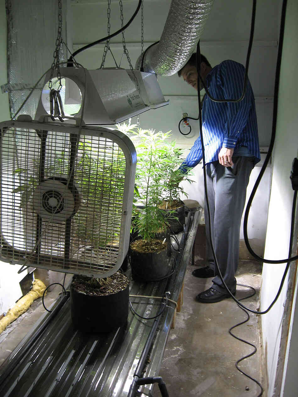 Paul Culkin created a small marijuana-growing operation in his garage in suburban Albuquerque, N.M.