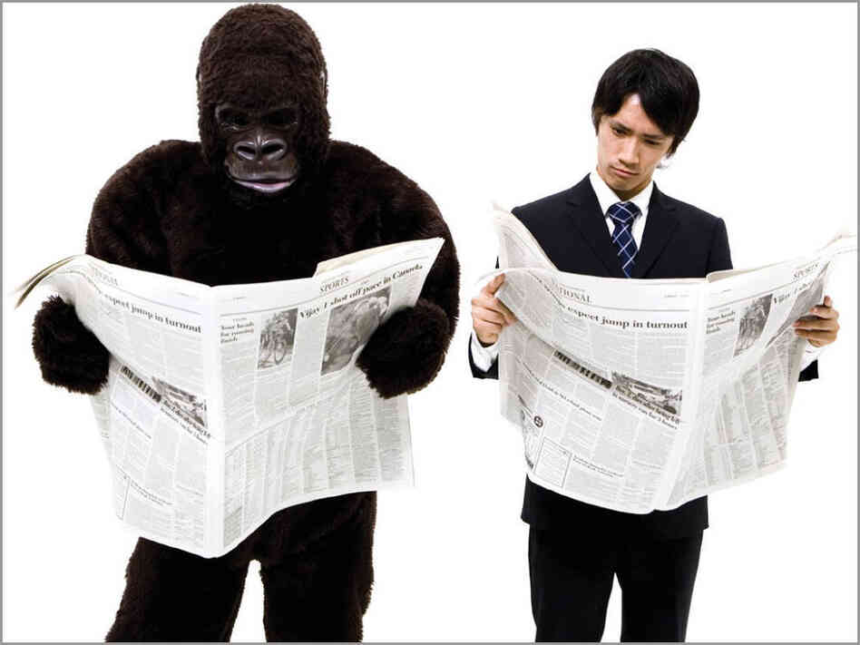 Gorilla And Man Reading Newspapers Gorilla And Man Reading Newspapers