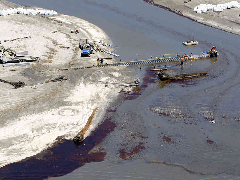 Oil from last month's oil rig explosion in the Gulf has started drifting ashore.