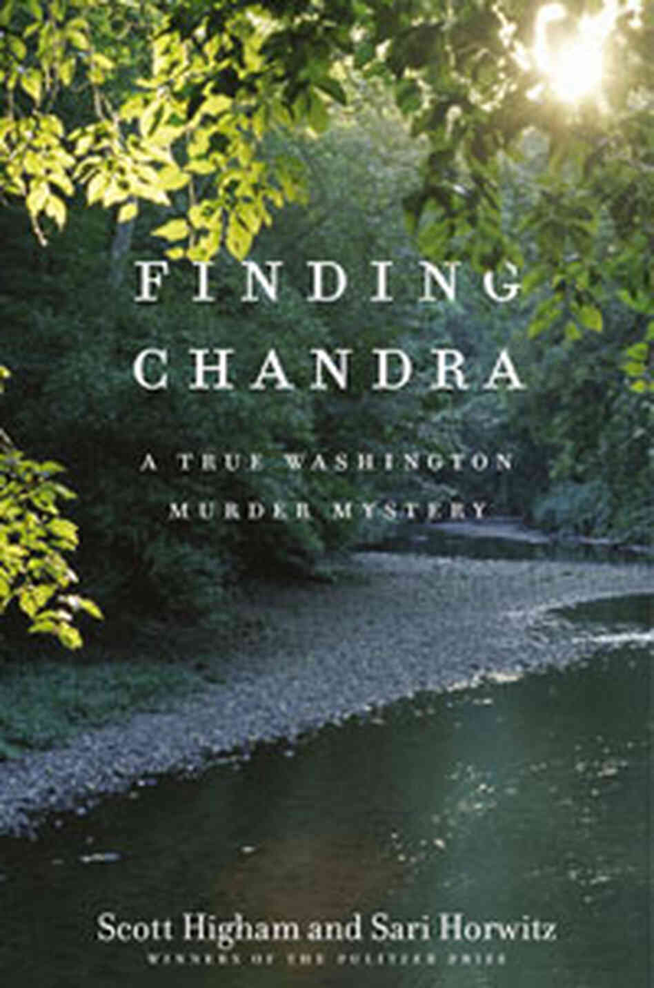 Cover of 'Finding Chandra' Cover of 'Finding Chandra'
