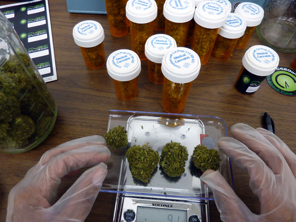 A worker at C420, an online dispensary, weighs four marijuana buds.