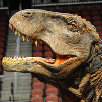 The head of Stephen Hershey's dinosaur costume.