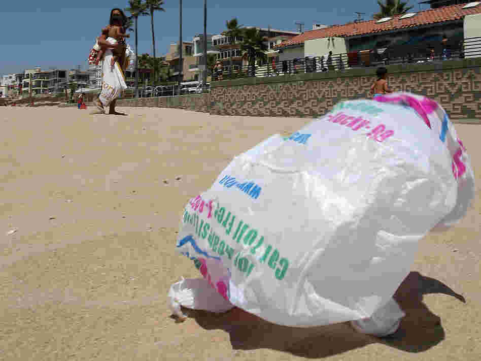 A bag blows across the sand near the Manhattan Beach (Calif.) Pier. Aug. 21, 2008.