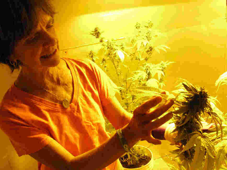 Ellen Lenox Smith tends her indoor marijuana garden.