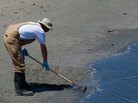 Worker cleaning beach Worker cleaning beach