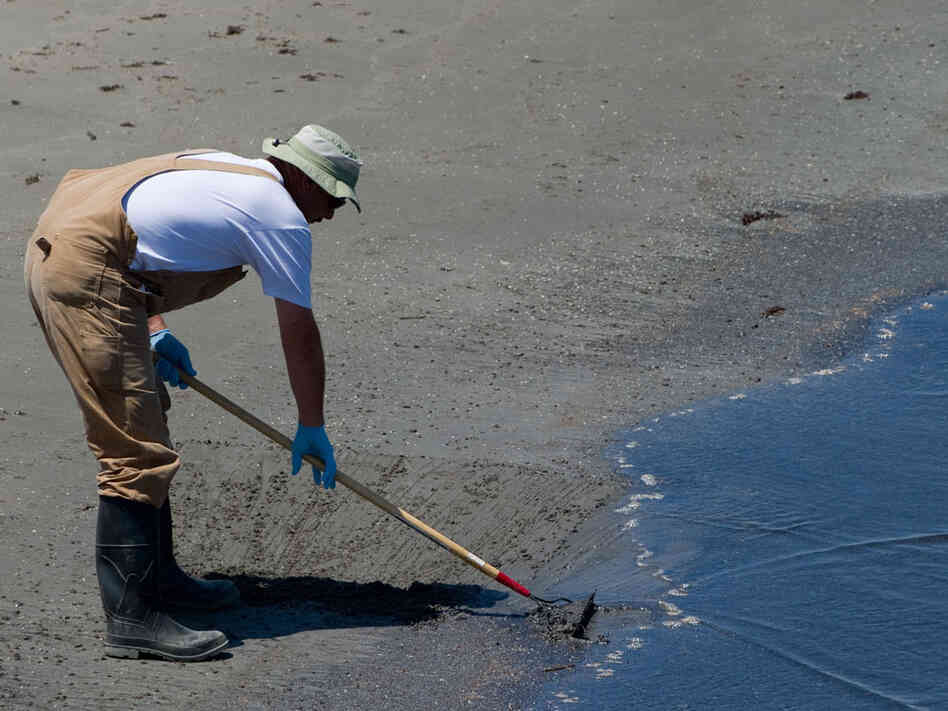 Worker cleaning beach