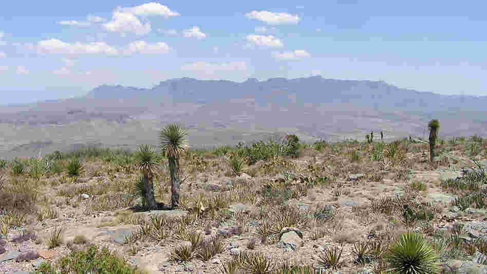 The Chisos Mountains in Brewster County near Big Bend National Park