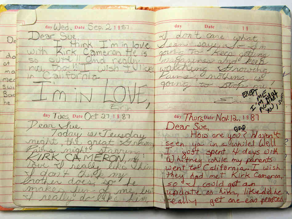 An entry from a diary named Sue An entry from a diary named Sue