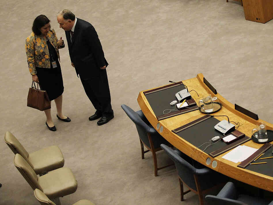 Brazil's U.N. Ambassador Maria Ribeiro Viotti (L) and Turkish Ambassador to the U.N. Ertugrul Apakan