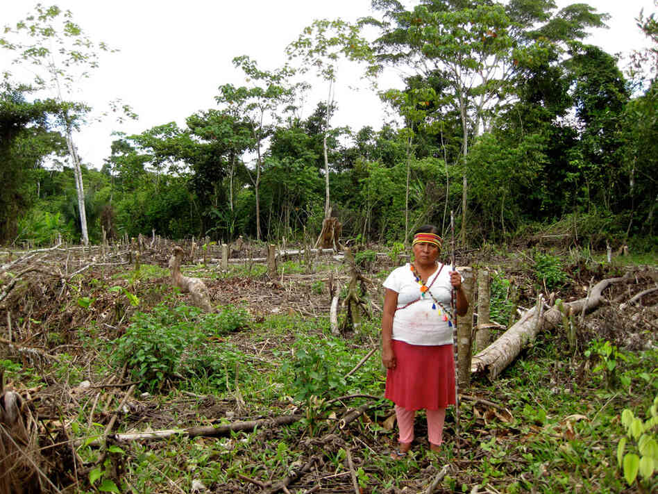Ana Hualinga, a leader of Peru's indigenous Achuar people