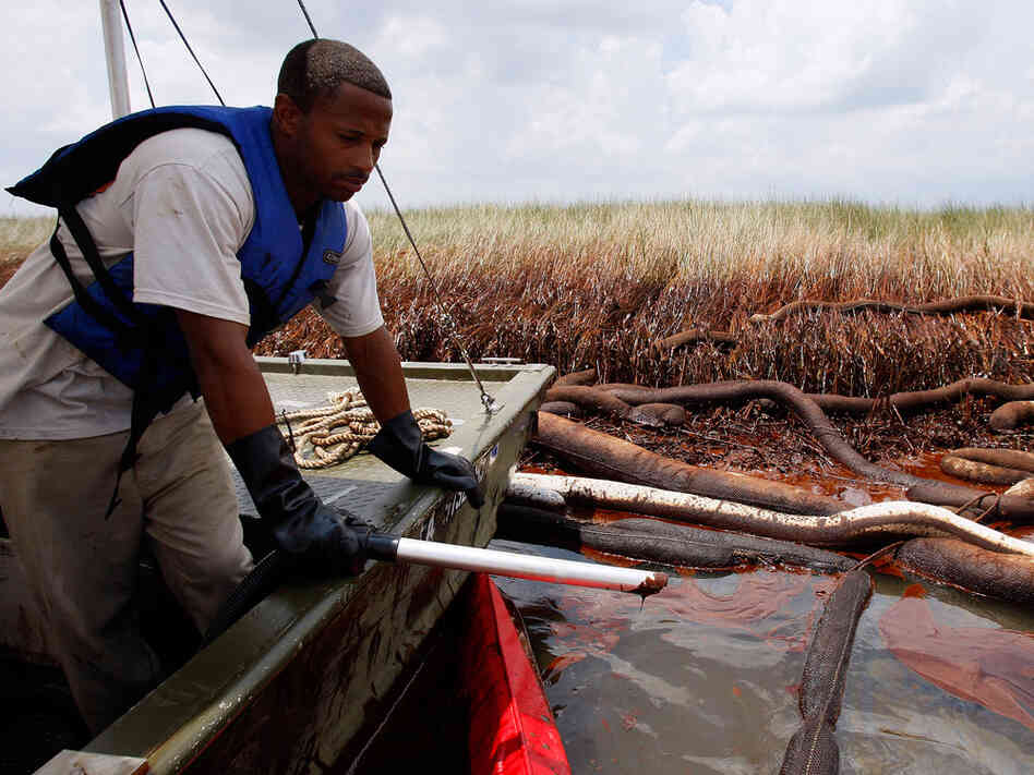 Gerald Ingraham looks out while vacuuming oil near oiled marsh grass in Barataria Bay.