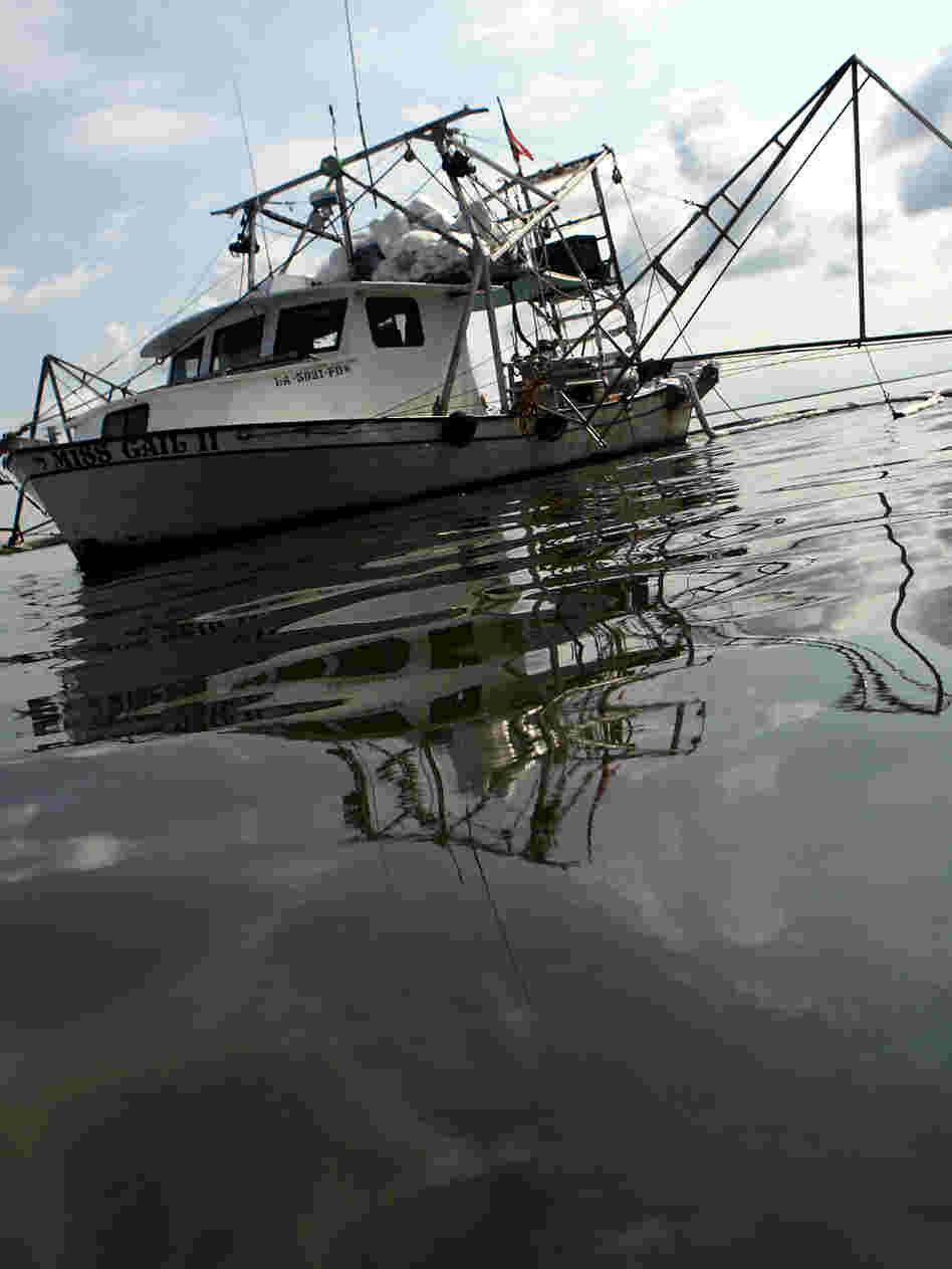 A shrimp boat skims for oil in Bay Jimmy, near Port Sulphur, La