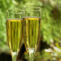 Glasses of champagne Glasses of champagne