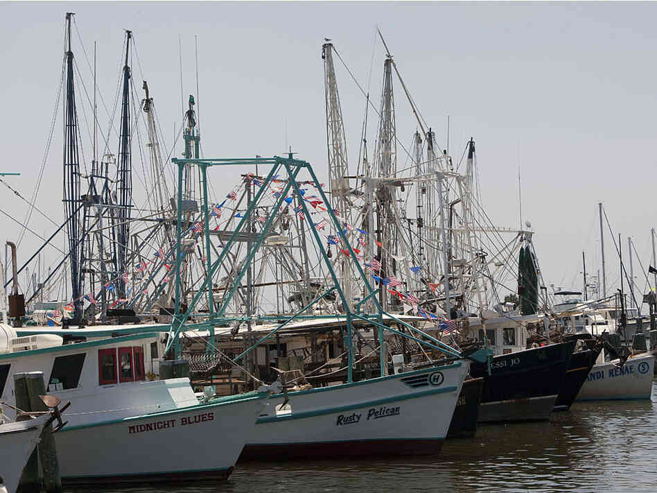 Shrimp boats sit in the Pass Christian Harbor in Pass Christian, Miss.