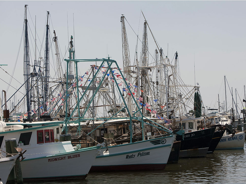 Shrimp boats sit in the Pass Christian Harbor in Pass Christian, Miss.