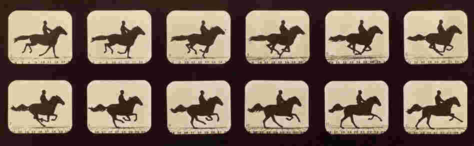 Edweard Muybridge's Horses Edweard Muybridge's Horses
