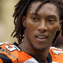 Cincinnati Bengals wide receiver Chris Henry died last year. Cincinnati Bengals wide receiver Chris Henry died last year.
