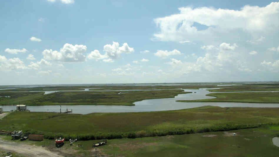 Channels and bayous crisscross the marsh grasses in Cocodrie, Louisiana. Channels and bayous crisscross the marsh grasses in Cocodrie, Louisiana.