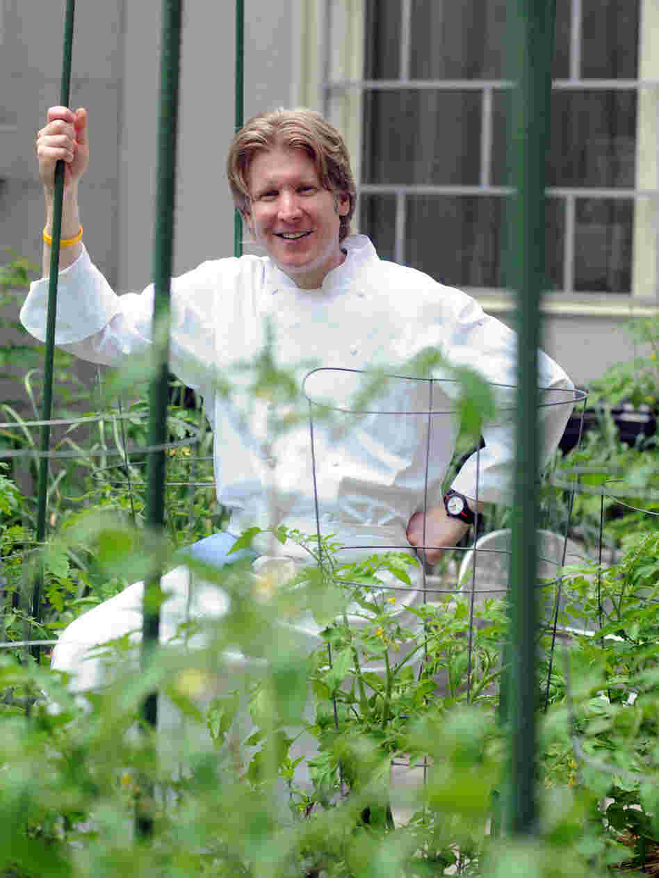 Chef Robert Weland Chef Robert Weland