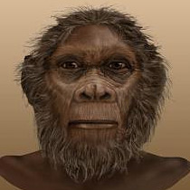 Human Evolution Timeline