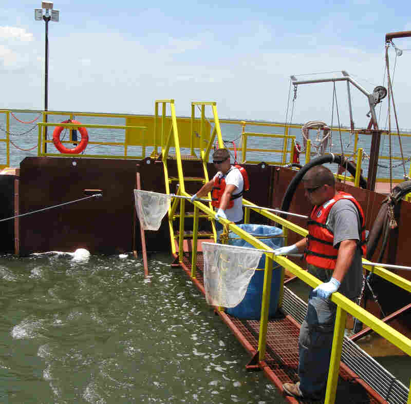 Workers stand on a barge, searching Lake Pontchartrain for tar balls. Workers stand on a barge, searching Lake Pontchartrain for tar balls.