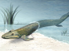 An illustration of what the sea creature Tiktaalik may have looked like. An illustration of what the sea creature Tiktaalik may have looked like.