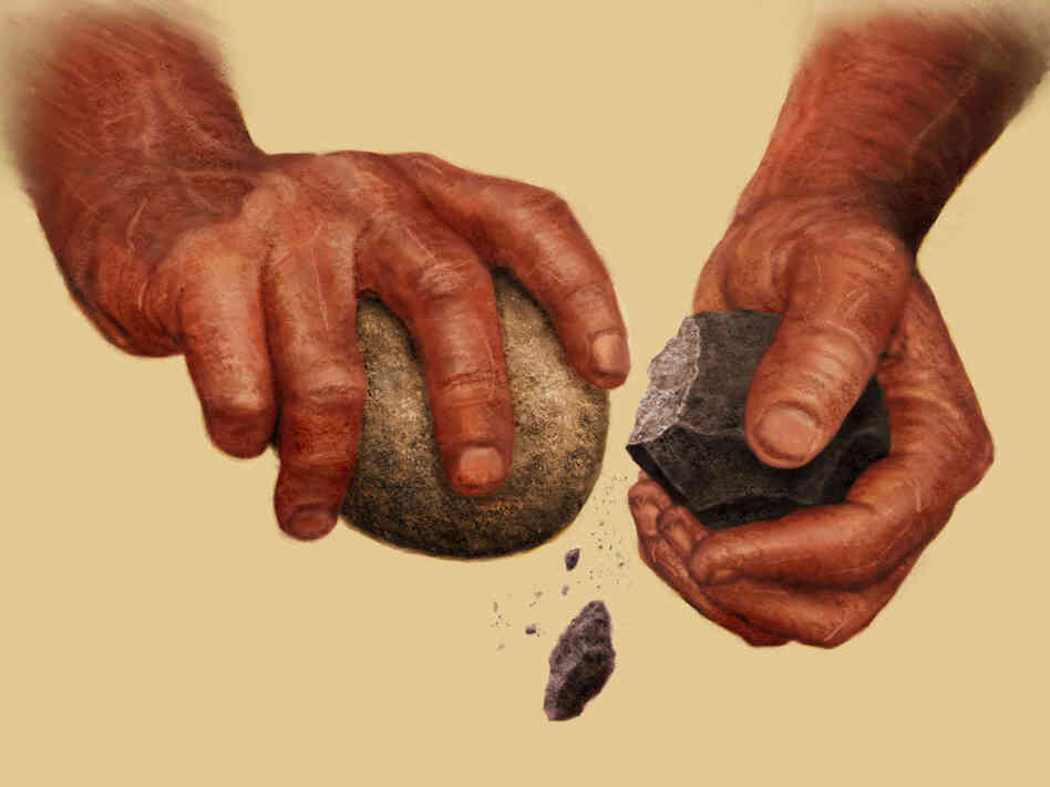 Hands striking rocks to make stone tools.