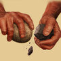 Hands striking rocks to make stone tools.