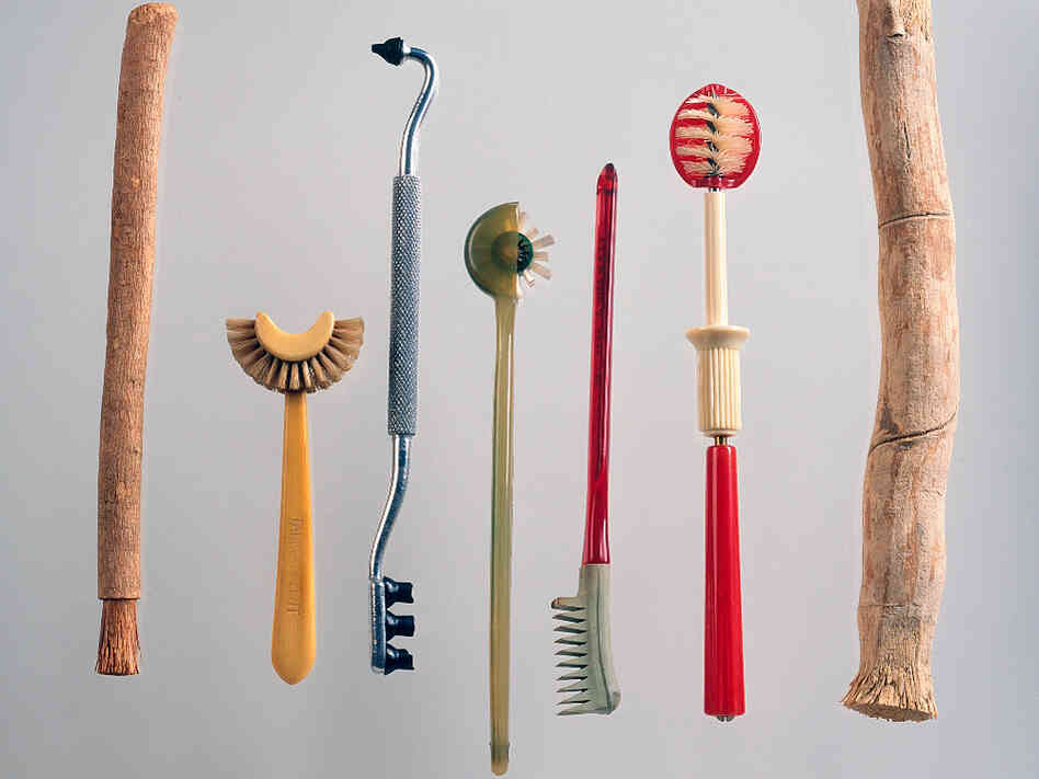 Historic toothbrushes: siwak stick; Taub’s patent toothbrush; gum stimulator; Strockway rotary; Dr. Mayland's. Historic toothbrushes: siwak stick; Taub’s patent toothbrush; gum stimulator; Strockway rotary; Dr. Mayland's.