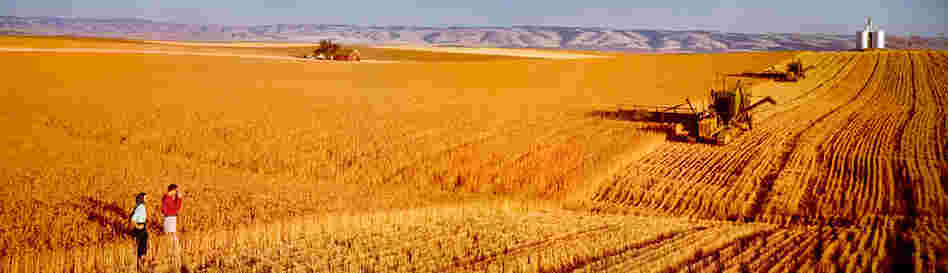 Colorama by Ansel Adams
