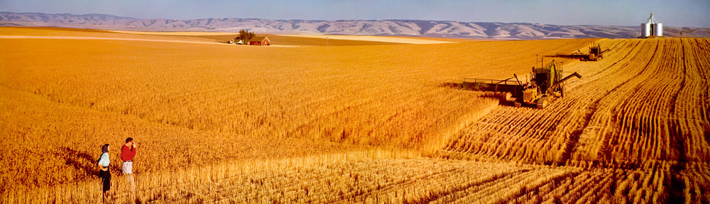 Colorama by Ansel Adams