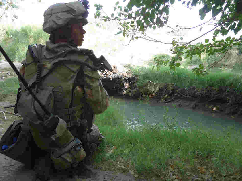 Marine