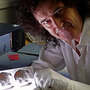 Brian May poses with stereoscopic images Brian May poses with stereoscopic images