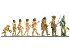 Ascent of Man Illustration Ascent of Man Illustration