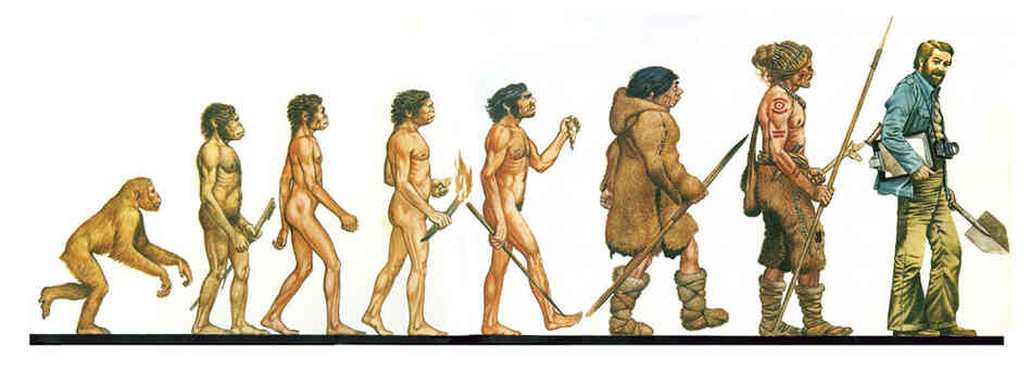 Ascent of Man Illustration Ascent of Man Illustration