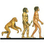 Ascent of Man Illustration