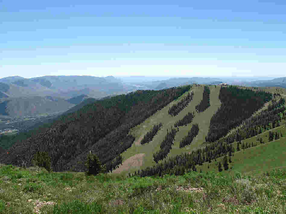 Bald Mountain
