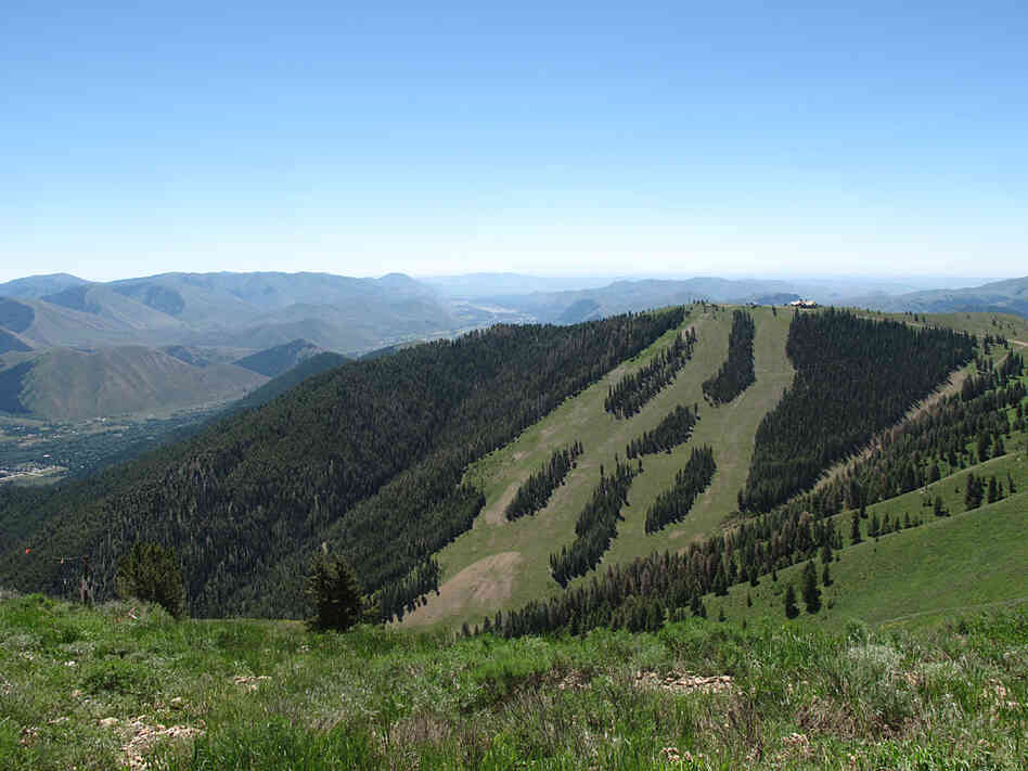 Bald Mountain