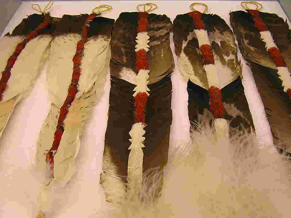 Condor feathers are ornately decorated for the Yurok tribe's jump dance.
