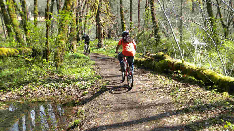 Mountain bikers on a trail in Oakridge, Ore.