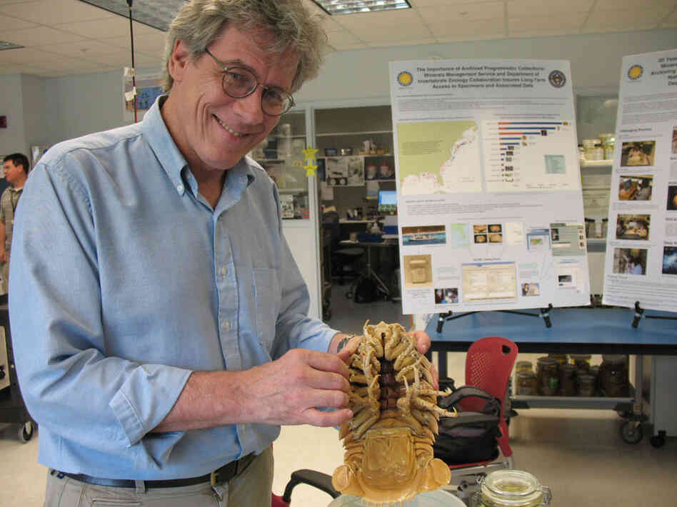 Jonathan Coddington holds up an isopod