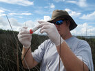 Jody Blount readies to take a sediment sample on the shores of Weeks Bay on the Alabama Gulf Coast. Jody Blount readies to take a sediment sample on the shores of Weeks Bay on the Alabama Gulf Coast.